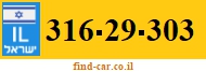 316-29-303