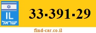 33-391-29