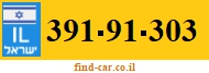 391-91-303
