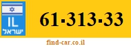 61-313-33