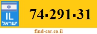 74-291-31