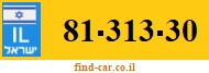 81-313-30