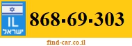 868-69-303