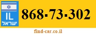 868-73-302
