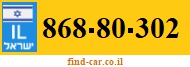 868-80-302