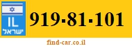 919-81-101