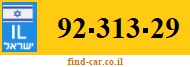 92-313-29