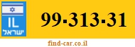 99-313-31