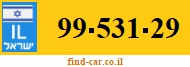 99-531-29